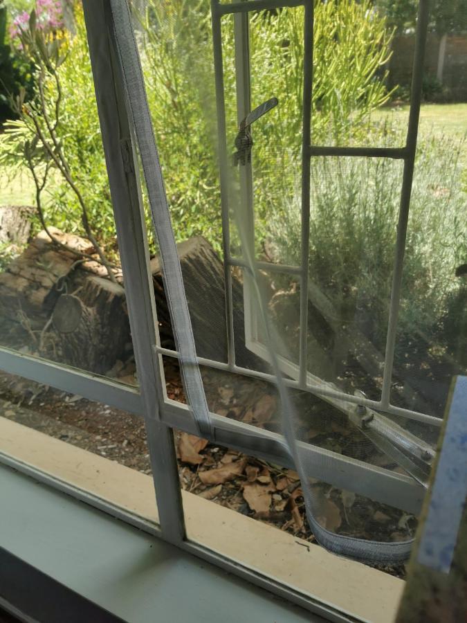 Stew S Room Polokwane Exterior photo